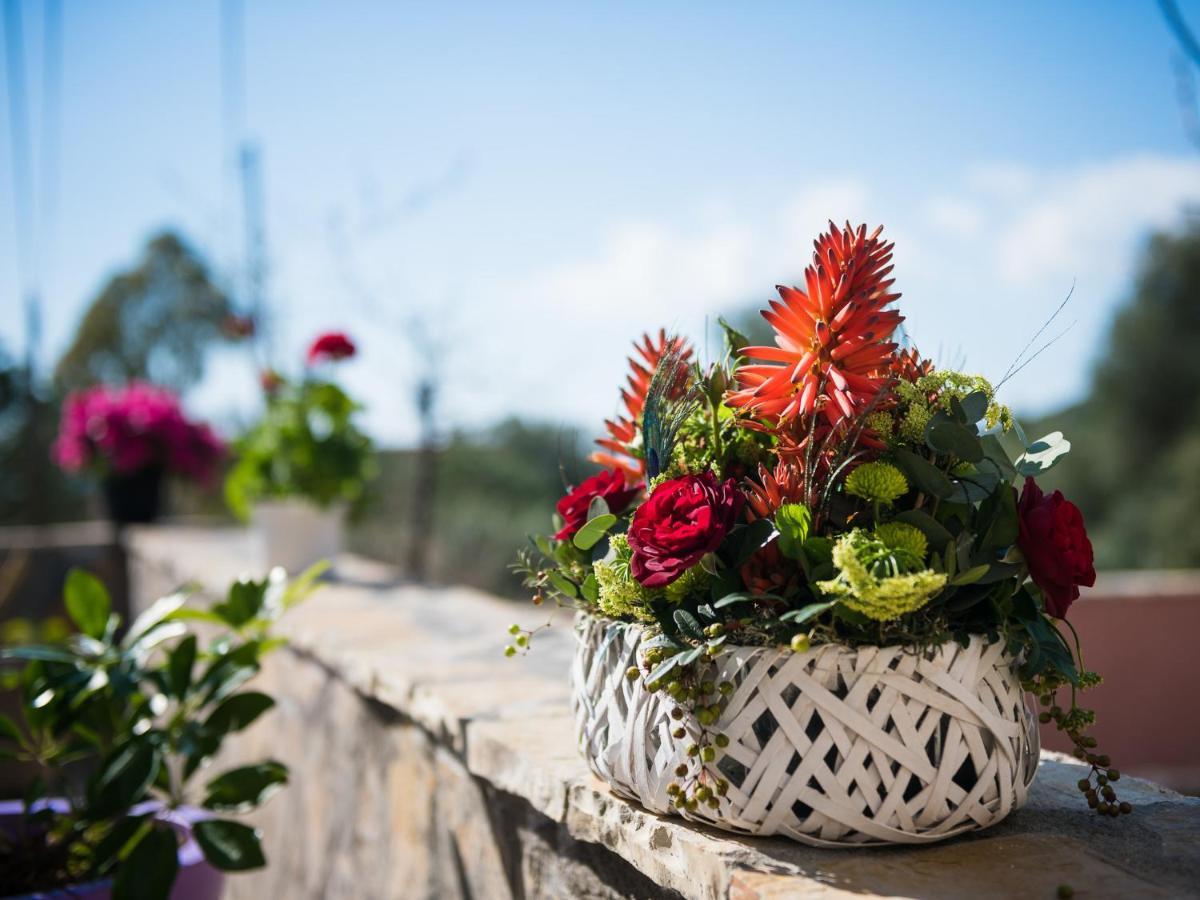 Sofias Cottage Razata Argostoli Екстериор снимка